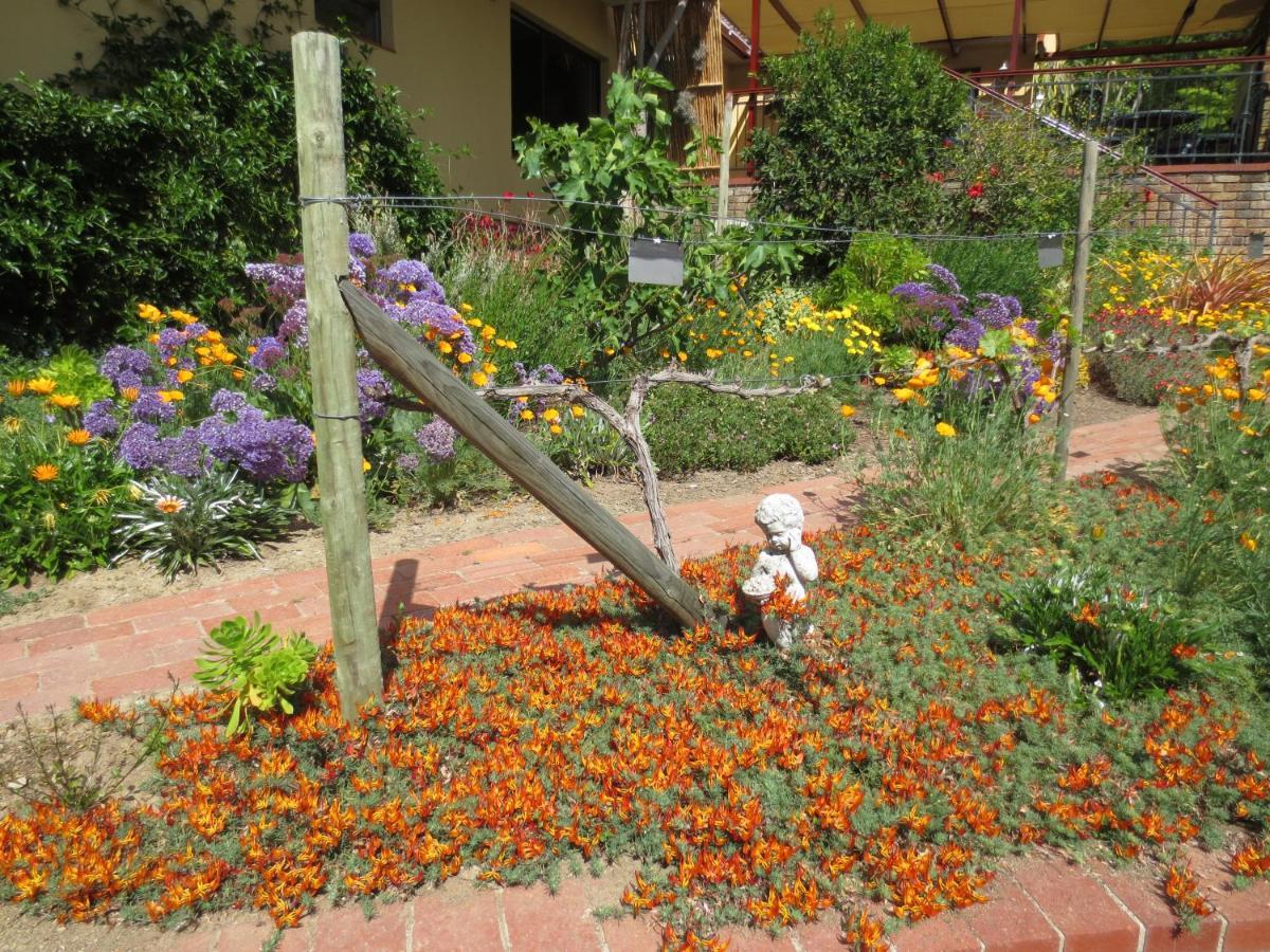 Haus Perlenblick Bed and Breakfast Paarl Eksteriør billede